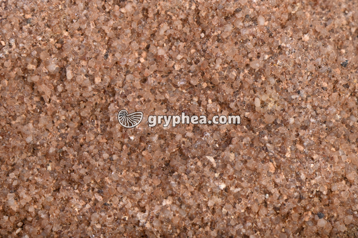 Grès - détail des grains - gryphea.org